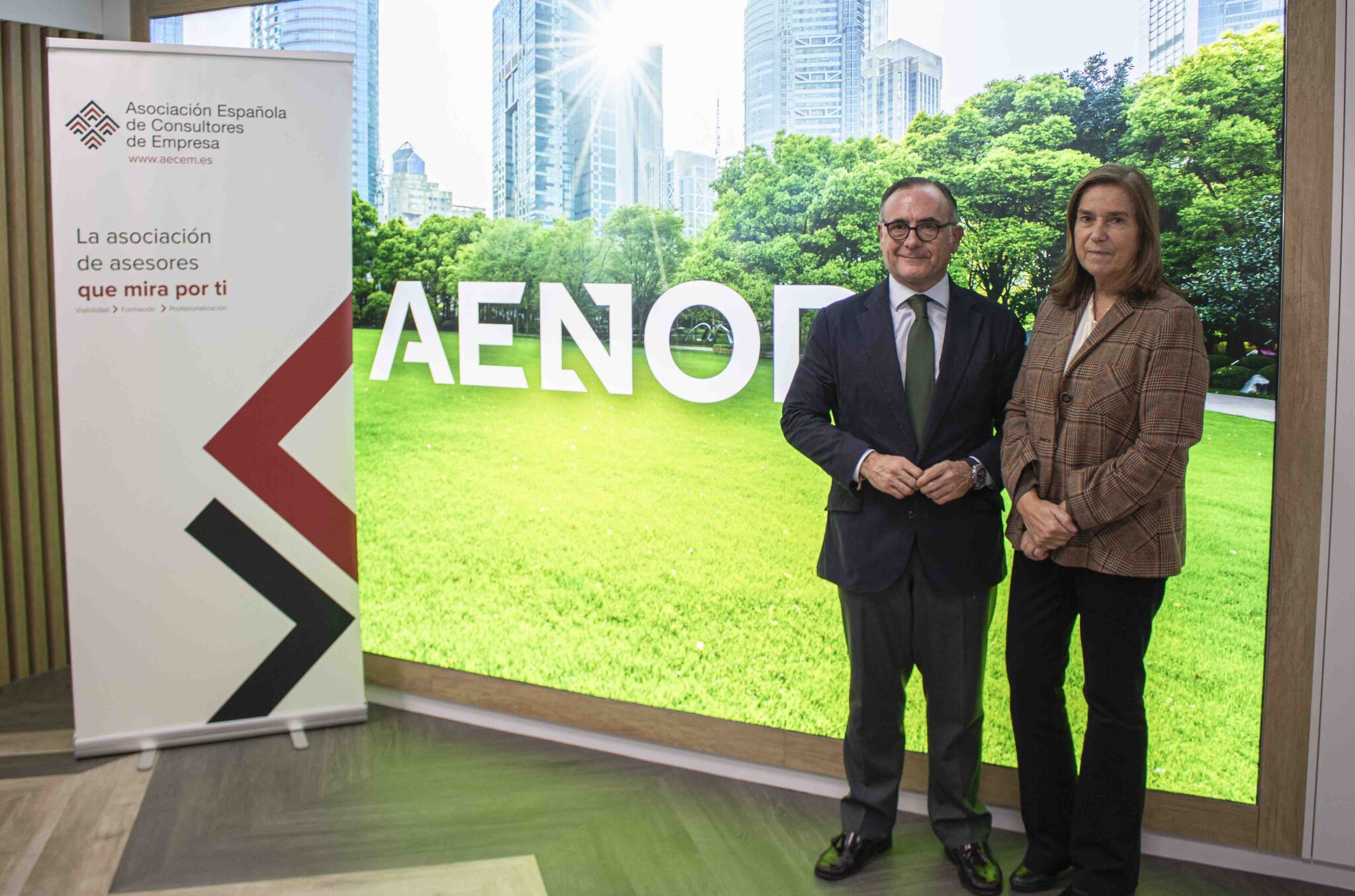 AECEM | Asociación Española de Consultores de Empresa